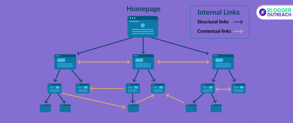 Internal Link Building