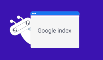 Google Content Velocity Has Nothing To Do With Faster Indexing